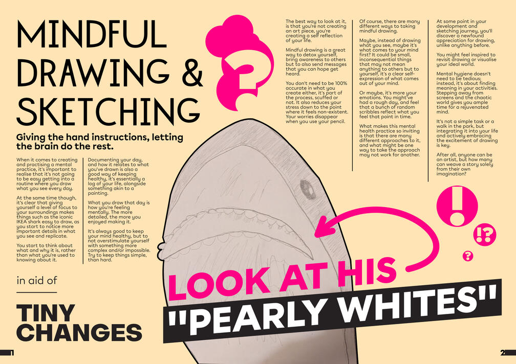 Tiny Changes Book (Y2)