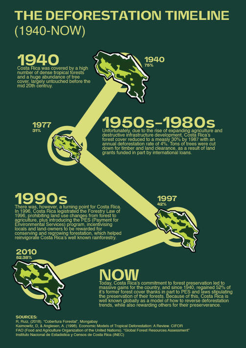 Deforestation Timeline (Y3)